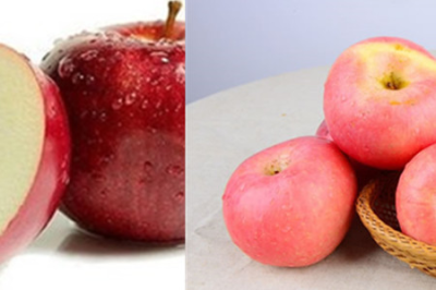 瘦身期间适合吃的水果 这些低脂的品种你了解吗