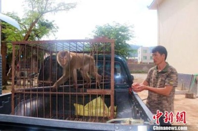 中华人民共和国宠物饲养法（养宠物条例）