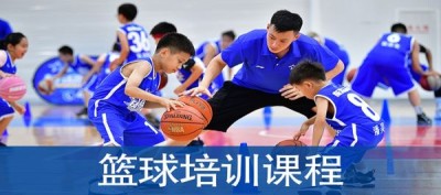 深圳篮球培训机构排名前十，深圳教育机构排名前十