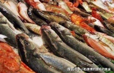 淡水鱼的食物偏好和进食习惯分析